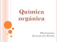 Profesora: Guadalupe N