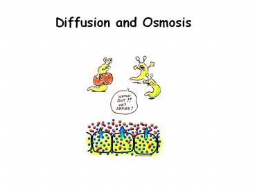Diffusion and Osmosis