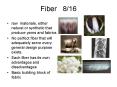 Fiber  8/16 PowerPoint PPT Presentation