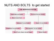 NUTS AND BOLTS to get started