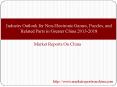 Industry Outlook for Non-Electronic Games, Puzzles, and Related Parts in Greater China 2013-2018 PowerPoint PPT Presentation