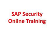 SAP Security Online Training