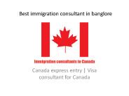 Best immigration consultant in banglore
