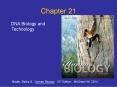 DNA Biology and Technology PowerPoint PPT Presentation