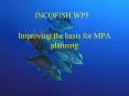 Improving the basis for MPA planning PowerPoint PPT Presentation