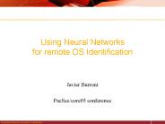 Using Neural Networks for remote OS Identification