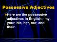 Possessive Adjectives PowerPoint PPT Presentation
