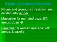 Gender and Adjective Agreement PowerPoint PPT Presentation