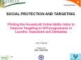 Piloting the Household Vulnerability Index to Improve Targeting in WVI programmes in Lesotho, Swaziland and Zimbabwe PowerPoint PPT Presentation
