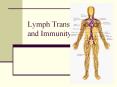 Lymph Transport and Immunity PowerPoint PPT Presentation