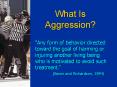 What Is Aggression? PowerPoint PPT Presentation