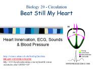Biology 20 - Circulation Beat Still My Heart