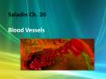 Saladin%20Ch.%2020%20Blood%20Vessels PowerPoint PPT Presentation