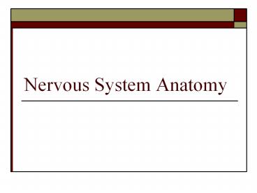 Nervous System Anatomy