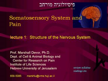 Somatosensory System and Pain