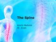 The Spine PowerPoint PPT Presentation
