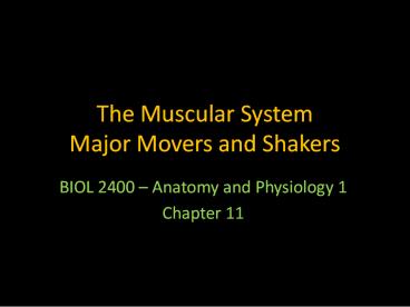The Muscular System  Major Movers and Shakers