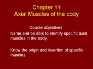 Chapter 11 Axial Muscles of the body