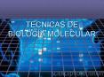TECNICAS DE BIOLOG PowerPoint PPT Presentation