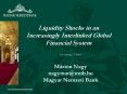 Liquidity Shocks in an Increasingly Interlinked Global Financial System PowerPoint PPT Presentation