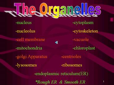 The%20Organelles