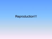 Reproduction!!!
