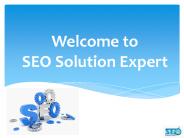 SEO Solution Expert