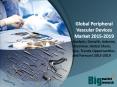 Global Peripheral Vascular Devices Market 2015-2019 PowerPoint PPT Presentation