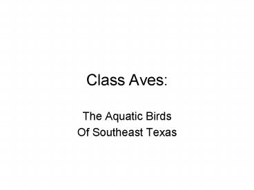 presentation player overlay