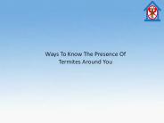 Ways To Know The Presence Of Termites Around You