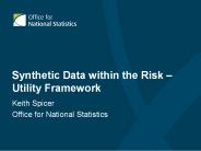 Synthetic Data within the Risk 