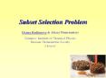 Subset Selection Problem PowerPoint PPT Presentation