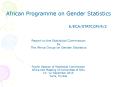 African Programme on Gender Statistics PowerPoint PPT Presentation