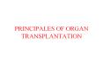 PRINCIPALES OF ORGAN TRANSPLANTATION PowerPoint PPT Presentation