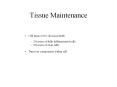 Tissue Maintenance PowerPoint PPT Presentation