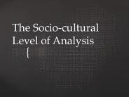 The Socio-cultural Level of Analysis