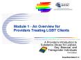 Module 1 - An Overview for Providers Treating LGBT Clients PowerPoint PPT Presentation