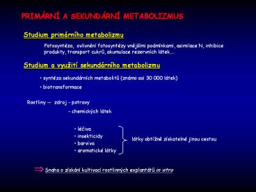 Prezentace aplikace PowerPoint