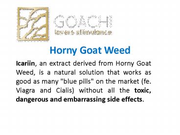 Horny Goat Weed
