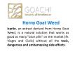 Horny Goat Weed PowerPoint PPT Presentation
