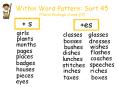 Within Word Pattern: Sort 45 (Plural Endings S and ES) PowerPoint PPT Presentation