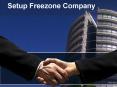 Setup Freezone Company PowerPoint PPT Presentation