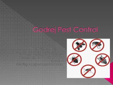 Godrej pest Control (1)