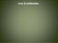 Liver PowerPoint PPT Presentation