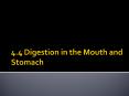 4.4 Digestion in the Mouth and Stomach PowerPoint PPT Presentation