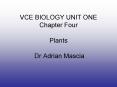 VCE BIOLOGY UNIT ONE Chapter Four Plants  Dr Adrian Mascia PowerPoint PPT Presentation