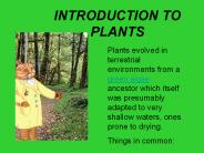 INTRODUCTION%20TO%20PLANTS
