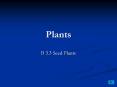 Plants PowerPoint PPT Presentation