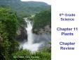 6th Grade Science  Chapter 11 Plants Chapter Review PowerPoint PPT Presentation