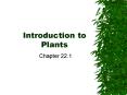 Introduction to Plants PowerPoint PPT Presentation